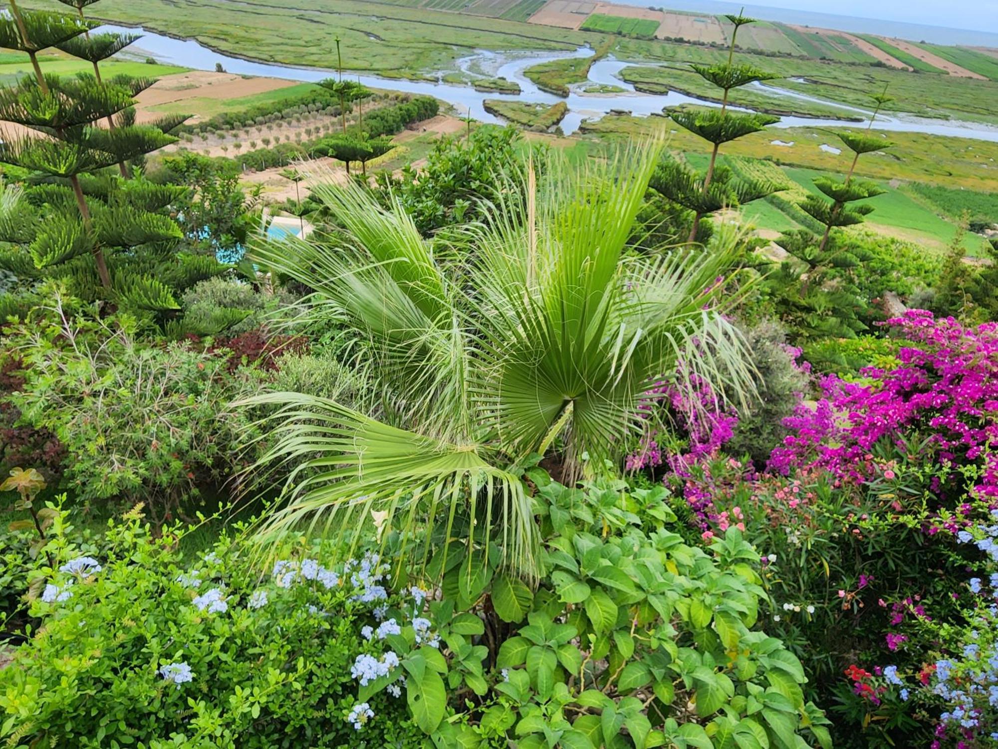 La Villa Joubert Oualidia Luaran gambar